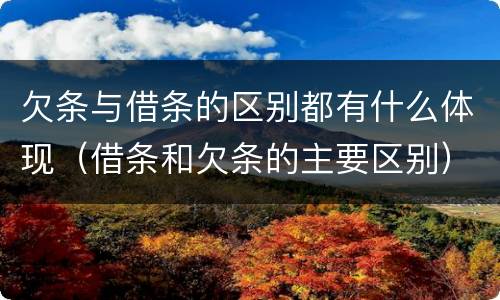 欠条与借条的区别都有什么体现（借条和欠条的主要区别）
