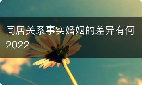 同居关系事实婚姻的差异有何2022