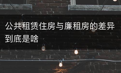 公共租赁住房与廉租房的差异到底是啥