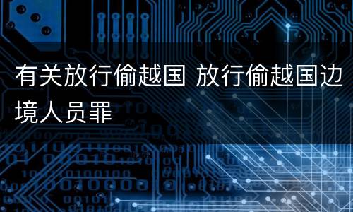 有关放行偷越国 放行偷越国边境人员罪