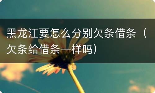 黑龙江要怎么分别欠条借条（欠条给借条一样吗）
