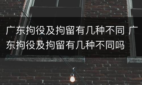 广东拘役及拘留有几种不同 广东拘役及拘留有几种不同吗