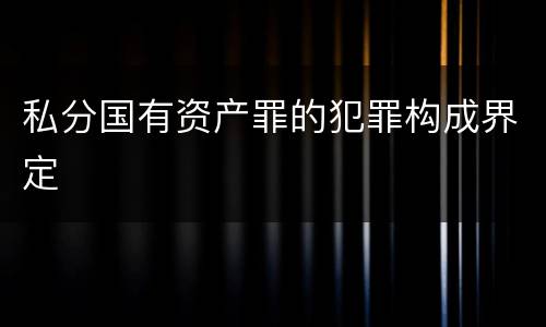 私分国有资产罪的犯罪构成界定