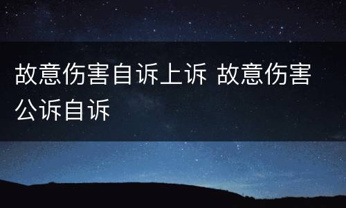 故意伤害自诉上诉 故意伤害 公诉自诉