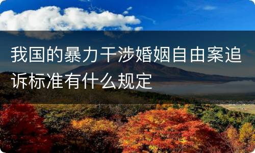 我国的暴力干涉婚姻自由案追诉标准有什么规定