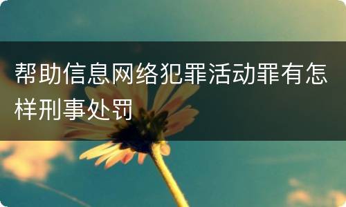 帮助信息网络犯罪活动罪有怎样刑事处罚