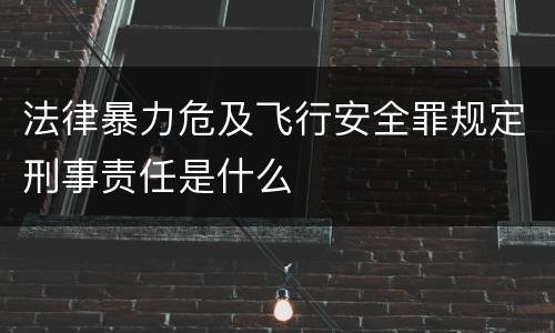 法律暴力危及飞行安全罪规定刑事责任是什么