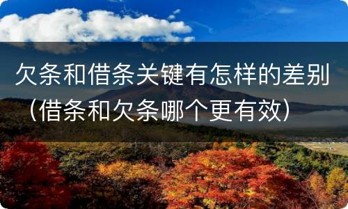 欠条和借条关键有怎样的差别（借条和欠条哪个更有效）