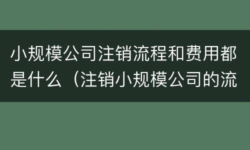 小规模公司注销流程和费用都是什么（注销小规模公司的流程是什么,具体一点）