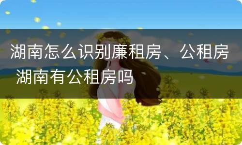湖南怎么识别廉租房、公租房 湖南有公租房吗