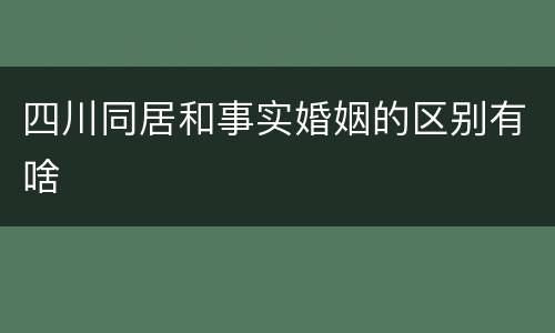 四川同居和事实婚姻的区别有啥