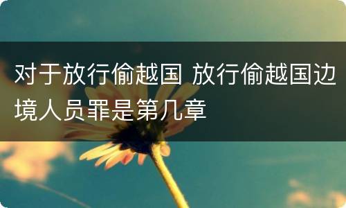 对于放行偷越国 放行偷越国边境人员罪是第几章