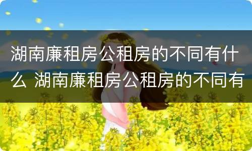 湖南廉租房公租房的不同有什么 湖南廉租房公租房的不同有什么特点