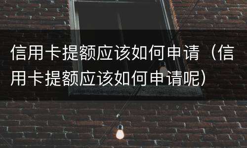信用卡提额应该如何申请（信用卡提额应该如何申请呢）