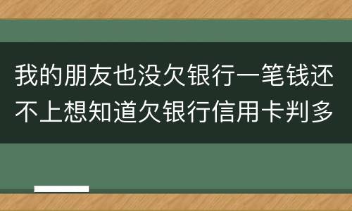 我的朋友也没欠银行一笔钱还不上想知道欠银行信用卡判多少年