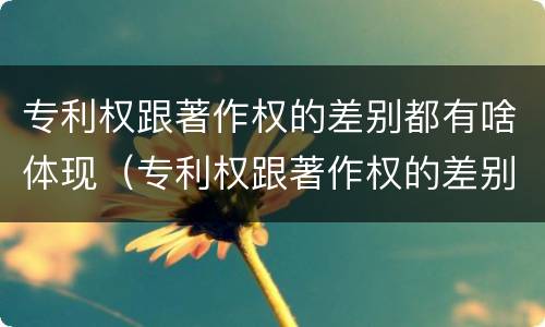 专利权跟著作权的差别都有啥体现（专利权跟著作权的差别都有啥体现呢）