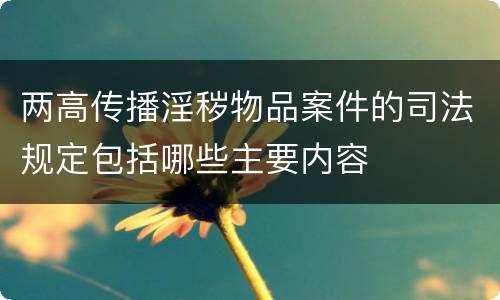 两高传播淫秽物品案件的司法规定包括哪些主要内容