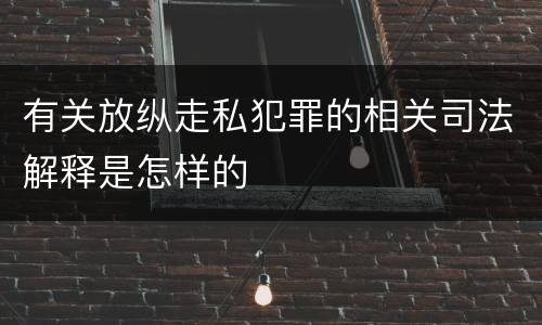 有关放纵走私犯罪的相关司法解释是怎样的