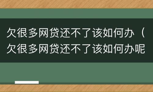 欠很多网贷还不了该如何办（欠很多网贷还不了该如何办呢）