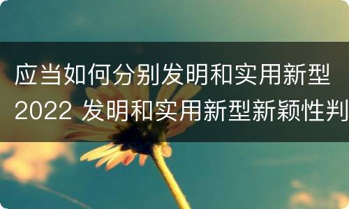 应当如何分别发明和实用新型2022 发明和实用新型新颖性判断方法