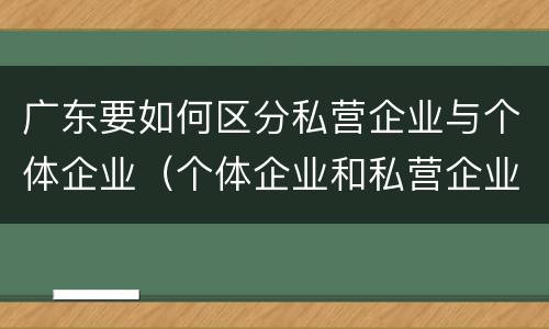 广东要如何区分私营企业与个体企业（个体企业和私营企业的区别）