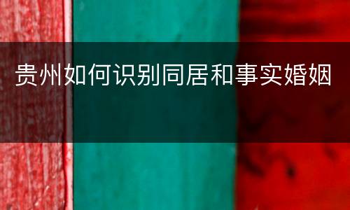 贵州如何识别同居和事实婚姻