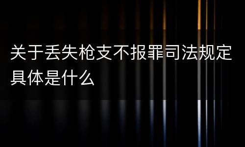 关于丢失枪支不报罪司法规定具体是什么