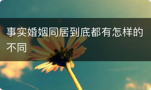 事实婚姻同居到底都有怎样的不同