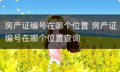 房产证编号在哪个位置 房产证编号在哪个位置查询