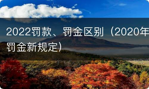 2022罚款、罚金区别（2020年罚金新规定）