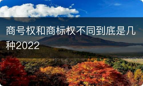 商号权和商标权不同到底是几种2022