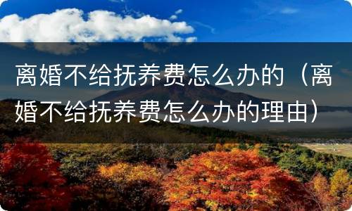 离婚不给抚养费怎么办的（离婚不给抚养费怎么办的理由）