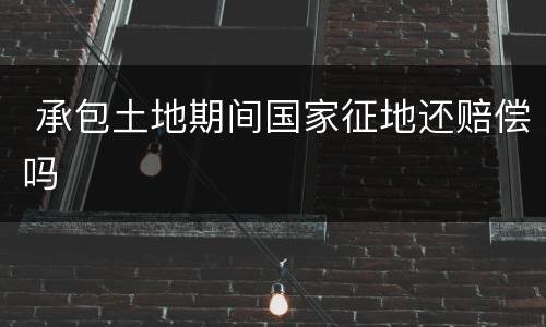  承包土地期间国家征地还赔偿吗