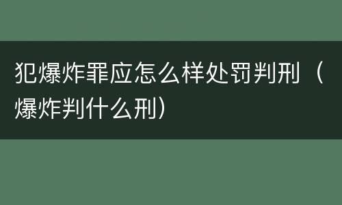 犯爆炸罪应怎么样处罚判刑（爆炸判什么刑）