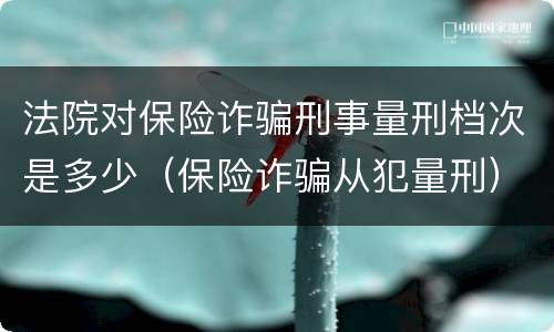 法院对保险诈骗刑事量刑档次是多少（保险诈骗从犯量刑）