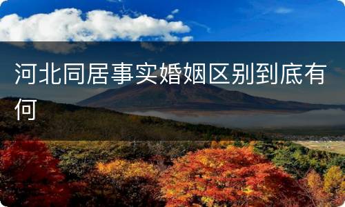 河北同居事实婚姻区别到底有何