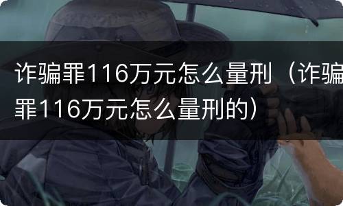诈骗罪116万元怎么量刑（诈骗罪116万元怎么量刑的）