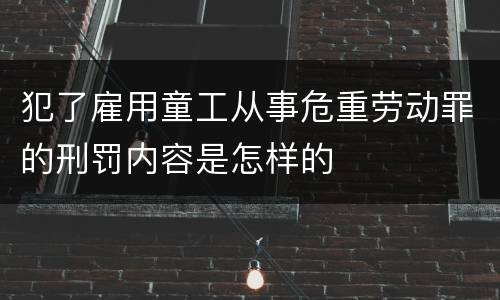 犯了雇用童工从事危重劳动罪的刑罚内容是怎样的