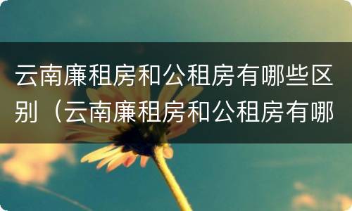 云南廉租房和公租房有哪些区别（云南廉租房和公租房有哪些区别呢）