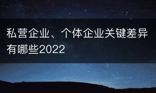 私营企业、个体企业关键差异有哪些2022