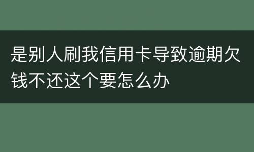 是别人刷我信用卡导致逾期欠钱不还这个要怎么办