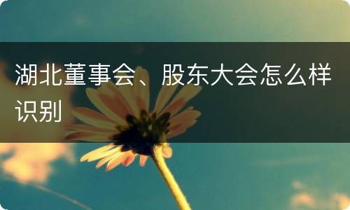 湖北董事会、股东大会怎么样识别