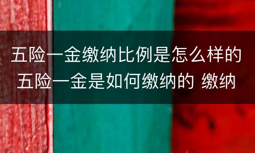 五险一金缴纳比例是怎么样的 五险一金是如何缴纳的 缴纳比例是多少