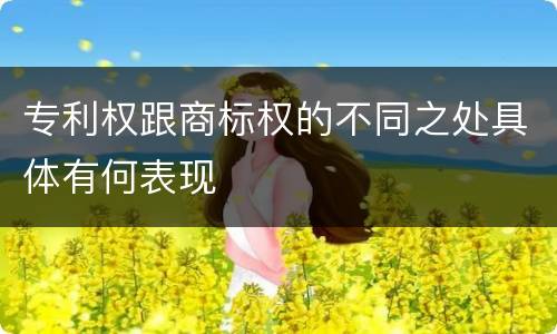 专利权跟商标权的不同之处具体有何表现