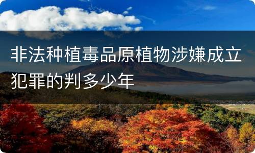 非法种植毒品原植物涉嫌成立犯罪的判多少年