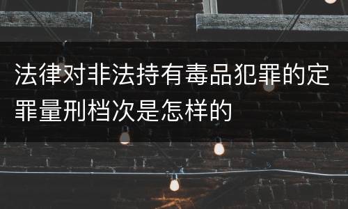 法律对非法持有毒品犯罪的定罪量刑档次是怎样的