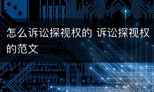 怎么诉讼探视权的 诉讼探视权的范文