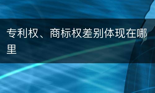 专利权、商标权差别体现在哪里