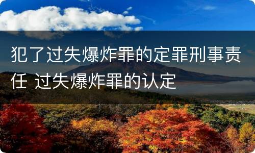 犯了过失爆炸罪的定罪刑事责任 过失爆炸罪的认定