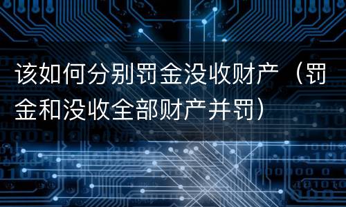 该如何分别罚金没收财产（罚金和没收全部财产并罚）